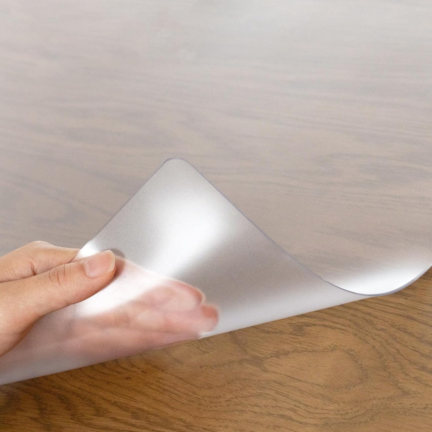 海外作家様作 アートドール ライオンの子供 紹介】ホワイトライオン